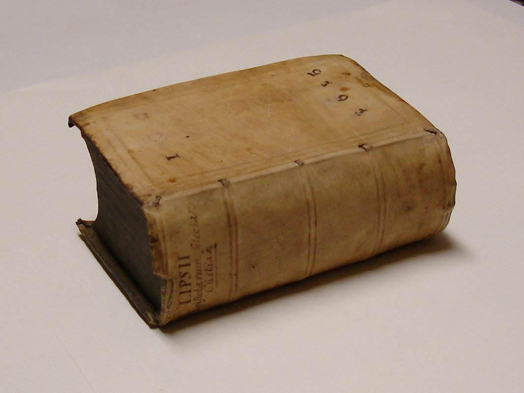 Iusti Lipsii Epistolarum selectarum chilias, in qua I. II. III. Centuriae ad Belgas, Germanos, Gallos, Italos, Hispanos. IV. Singularis ad Germanos & Gallos. V. Miscellanea. VI. VII. VIII ad Belgas. IX. & X Miscellaneae Postumae. Epistolica institutio eiusdem Lipsii. Accessit in gratiam studiosae iuventutis, rerum aliquot insignium, & elegantissimarum similitudinum, quae in nonnullis epistolis occurrunt, index locupletissimus.
